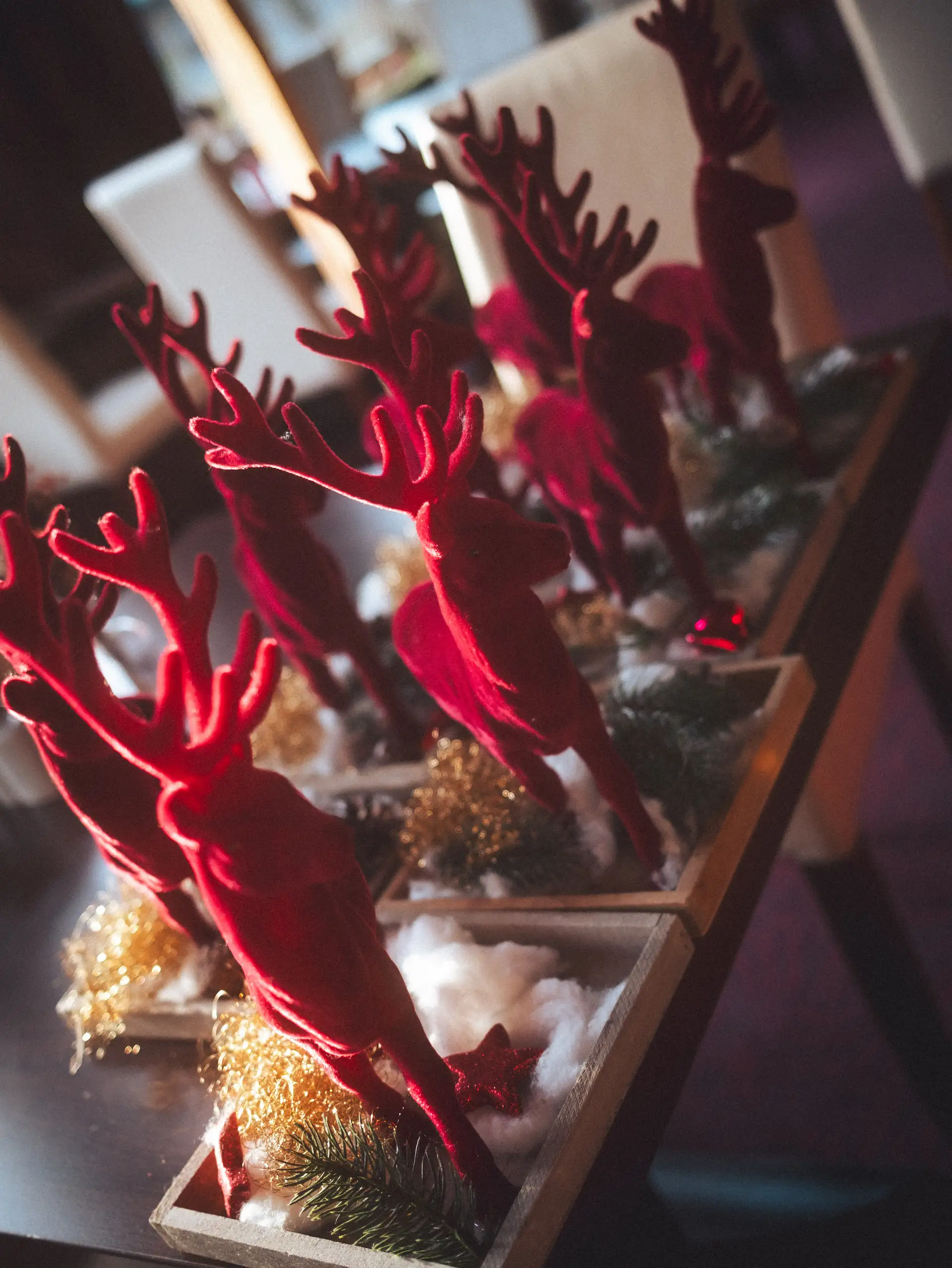 booking-badduerrheim-weihnachtsangebot